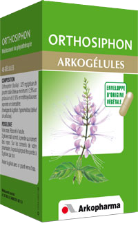 ORTHOSIPHON 325MG ARKOGELULES 45